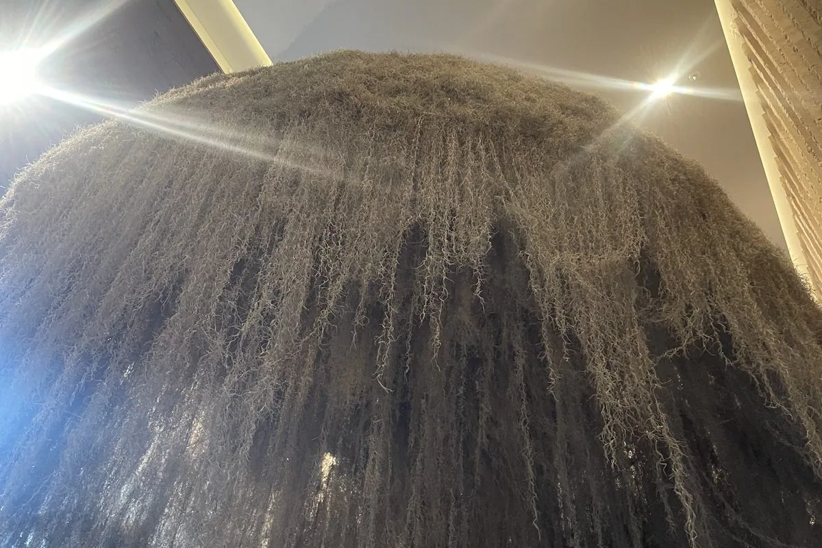 A hanging moss installation at 1 Hotel Mayfair